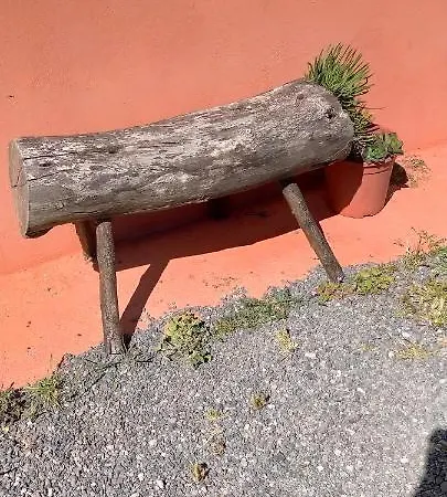 Holla Del Saldo *