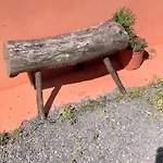 Holla Del Saldo *