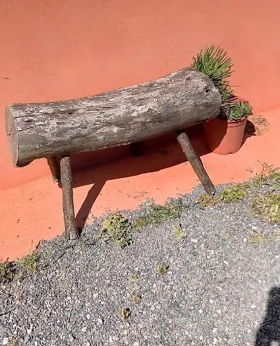 Holla Del Saldo *